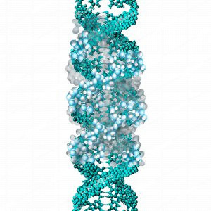 DNA hydration